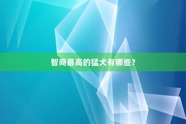 智商最高的猛犬有哪些？